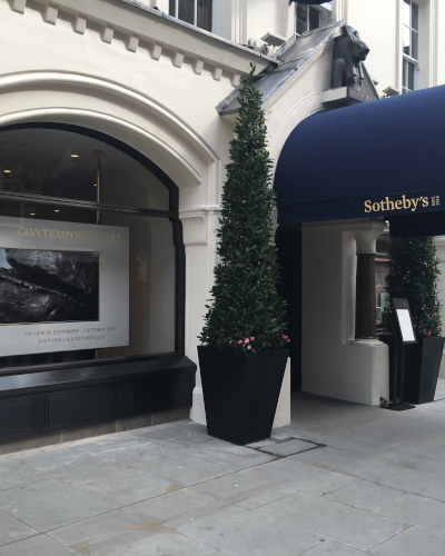 Sothebys Bassett and findley